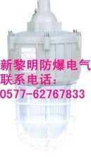 CCd92新黎明防爆照明灯